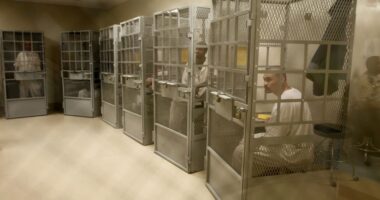 Факты о частной тюремной системе Америки. Статистика современного ГУЛАГа