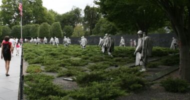 Мемориал ветеранов Корейской войны. Korean WVM in Washington DC 3