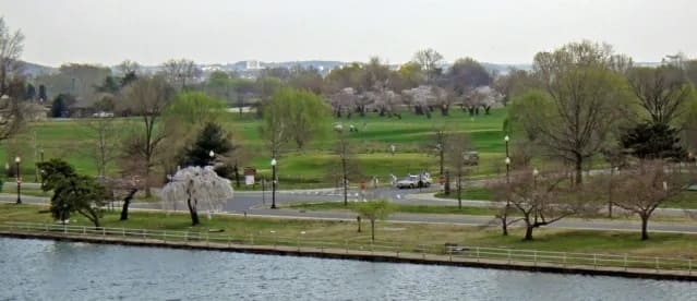 Парк Восточный Потомак и мыс Хейнс в Вашингтоне