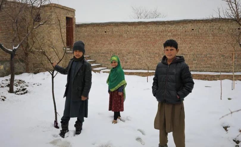 Фото, дети, Афганистан