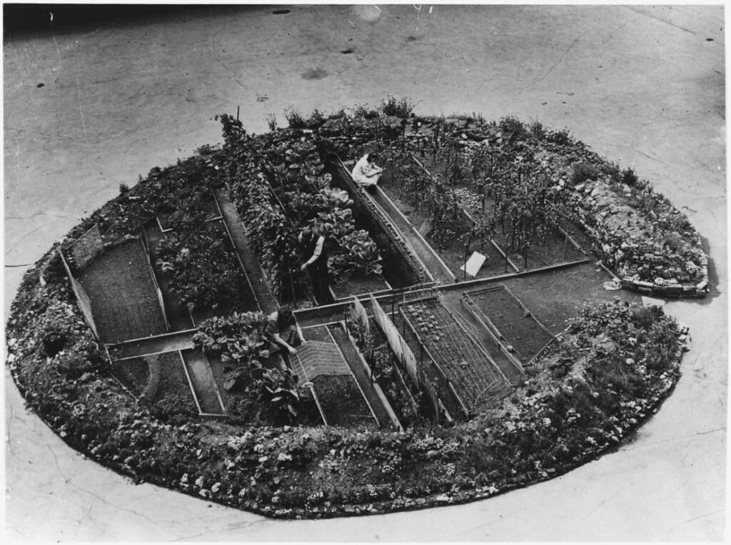 Сады Победы, 1916-20 г: противоядие от голодомора. Victory Gardens, USA