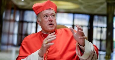 Новоиспеченный кардинал Роберт Уолтер МакЭлрой, епископ Сан-Диего, присутствует на приеме для родственников