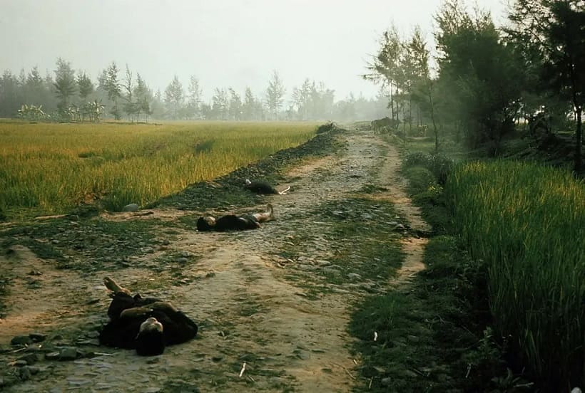Жители вьетнамской деревни, убитые американскими солдатами во время резни в Май Лай в 1968 году.Кредит...Рональд С. Хэберле