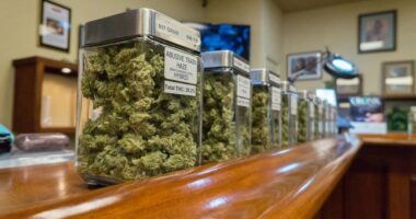 Детройт предлагает новый подход к выдаче лицензий на рекреационную марихуану.