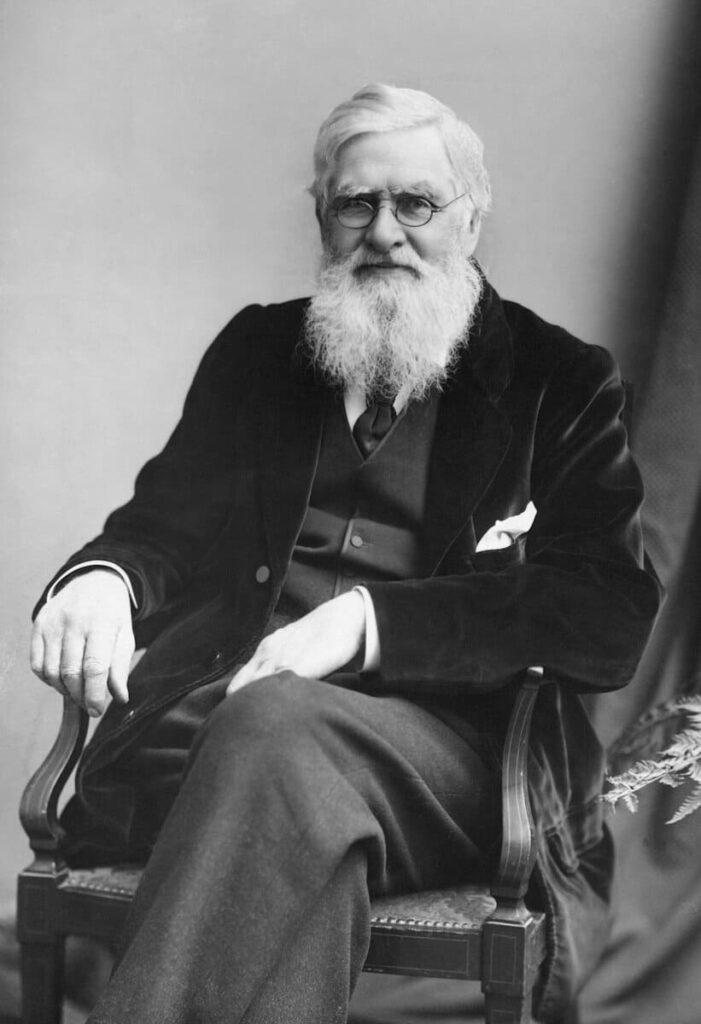 Несколько птиц названы в честь Альфреда Рассела Уоллеса (1823–1913), британского натуралиста, в чьих трудах часто использовалось слово на букву «н».